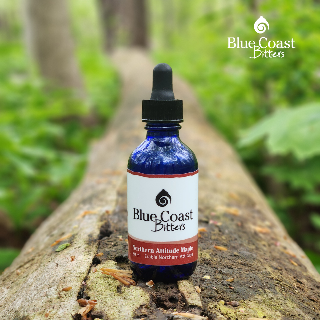 Northern Attitude Maple